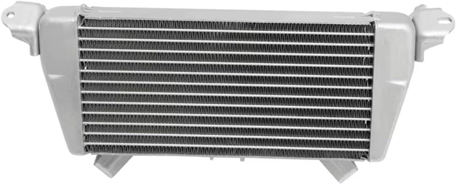 バイク用ラジエーターオイルクーラー 冷却 BMW M1000RR 2021-2022